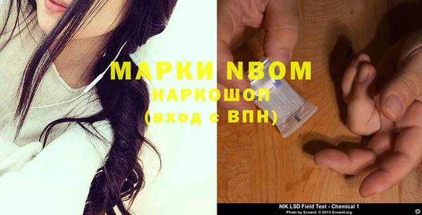 гашик Касимов