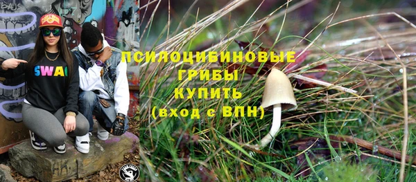 дмт Киреевск